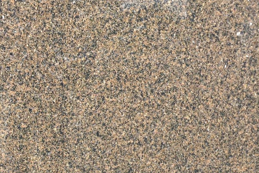 featured tropical brown