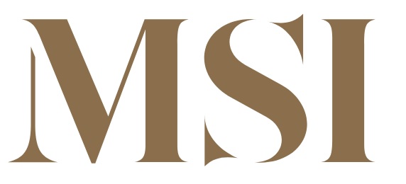 MSI LOGO 2