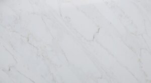 Premata CloseUp1