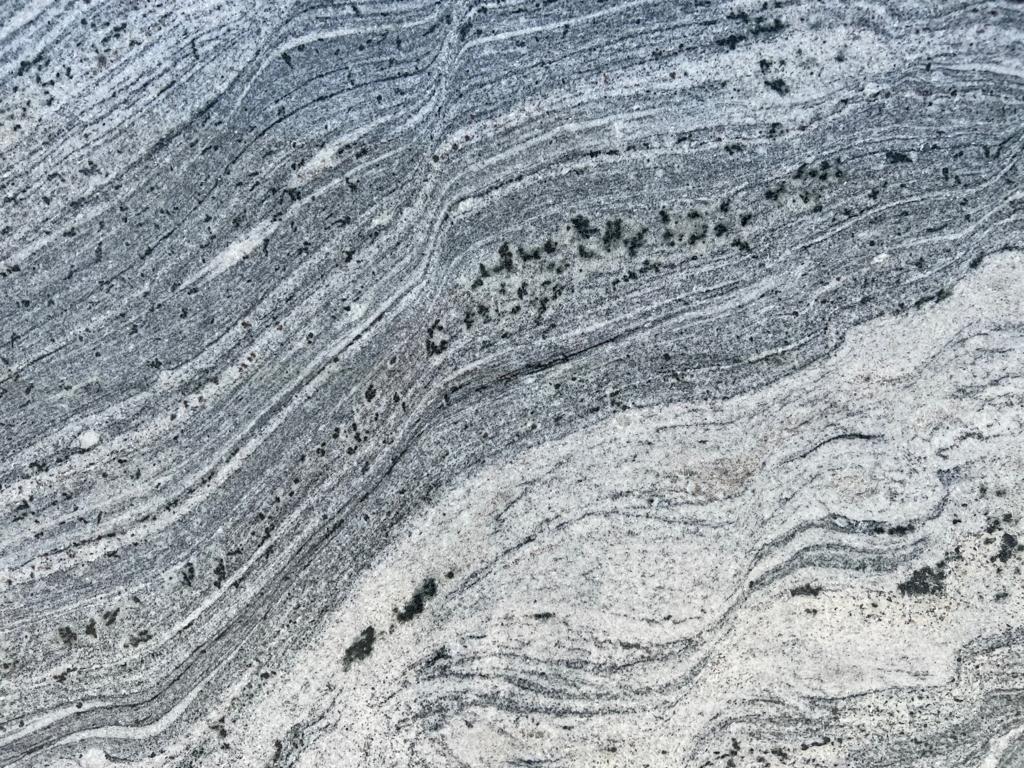 white himalaya 8